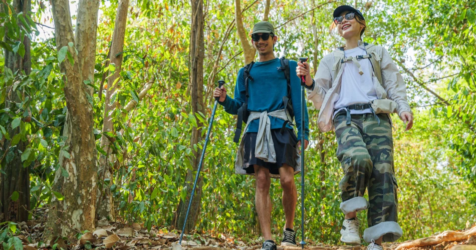 Fun Things to Do in Anaheim for Families and Friends